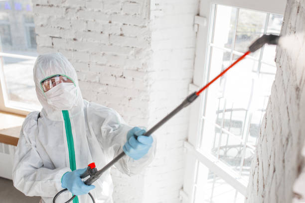 Best Black Mold Removal  in Lake Telemark, NJ