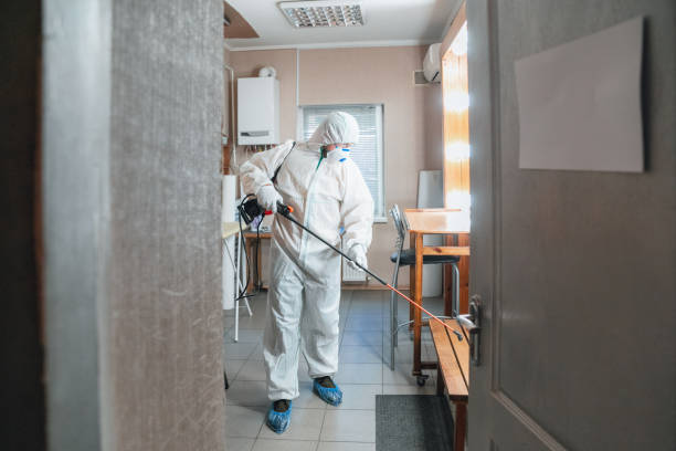 Best Mold Odor Removal Services  in Lake Telemark, NJ