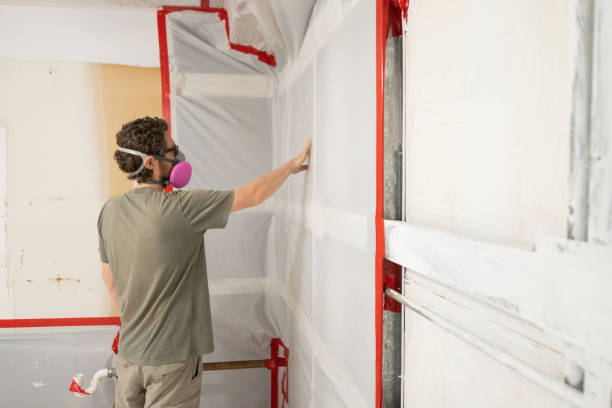 Best Emergency Mold Remediation  in Lake Telemark, NJ