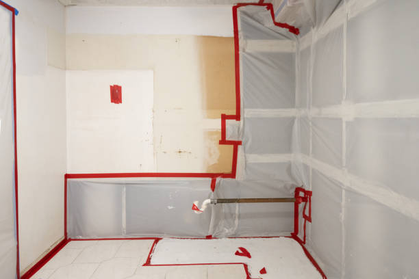 Best Mold Removal for HVAC Installations  in Lake Telemark, NJ