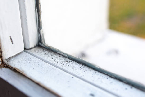 Best Mold Prevention Services  in Lake Telemark, NJ