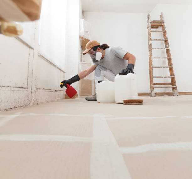 Best Comprehensive Air Testing for Mold Contaminants  in Lake Telemark, NJ
